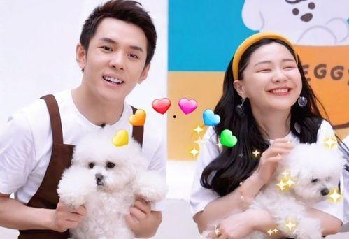 金靖最新爆料新闻,揭秘娱乐圈不为人知的幕后故事  第2张