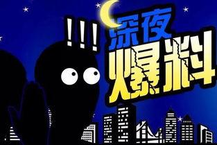 人气爆料视频大全最新